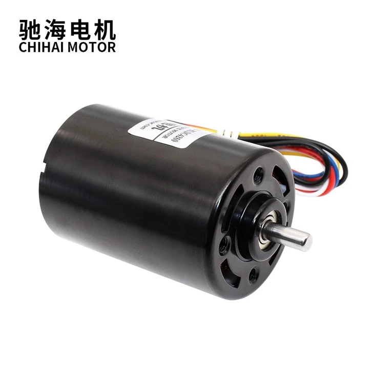 Brushless Permanent Magnet DC Motor With Built-in Drive