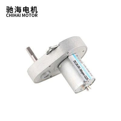 48GE 24V 36RPM Motor Gear berbentuk buah pir Untuk Pam Peristaltik